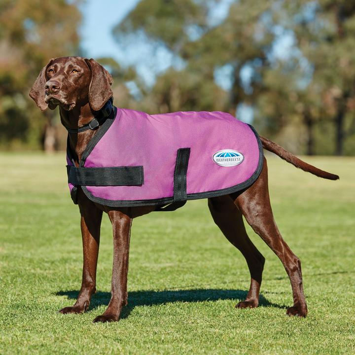 Actual product image Weatherbeeta Comfitec (30, Dog coat)