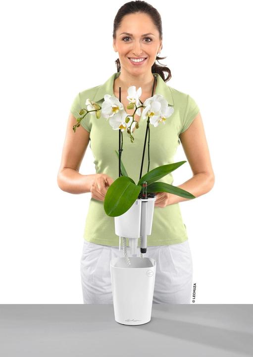 Actual product image Lechuza Mini Deltini (10 cm)