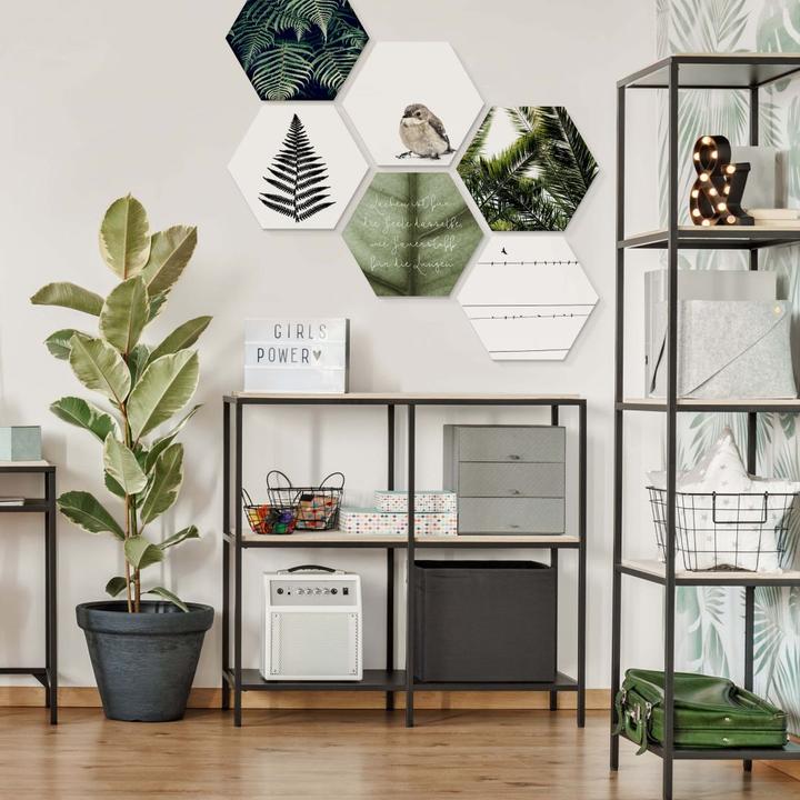 Produktbild Trenddeko Farn (75 x 65 cm)