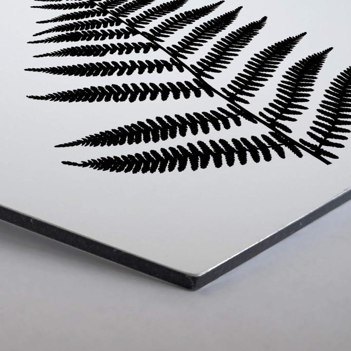 Produktbild Trenddeko Farn (75 x 65 cm)