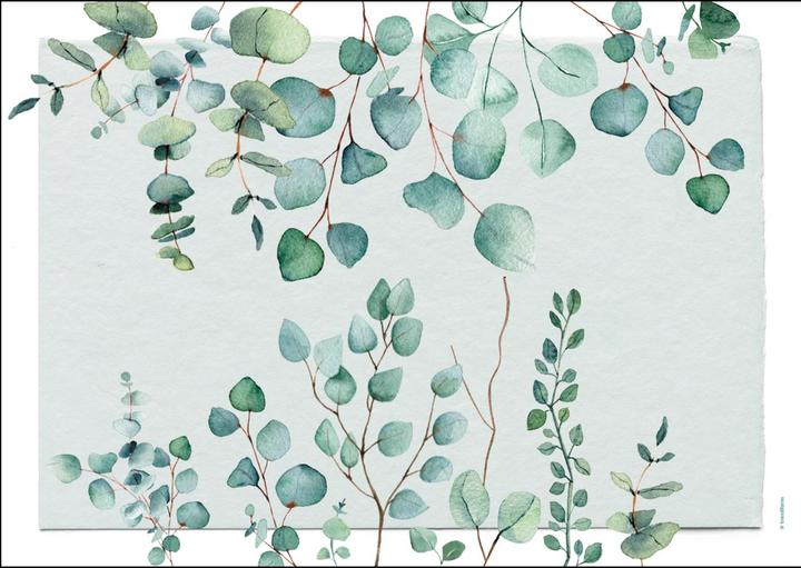 Immagine prodotto Trendform Eucalyptus (48 pz., 42 x 30 cm)