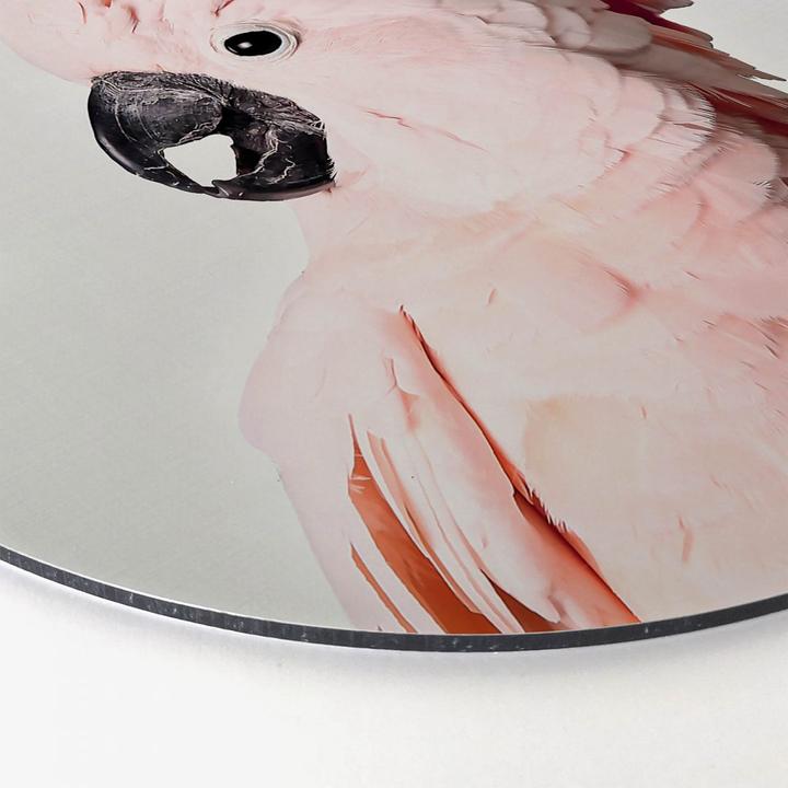 Produktbild Trenddeko Rosa Kakadu (Ø 20 cm)
