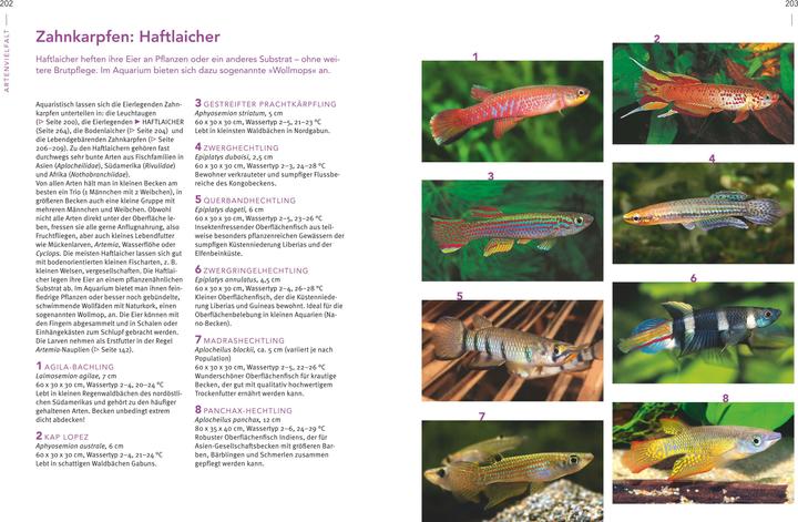 Actual product image Das grosse Praxishandbuch Aquarium (German, Ulrich Schliewen, 2017)