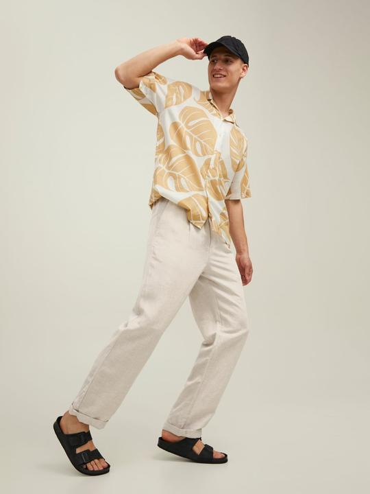 Immagine prodotto Jack & Jones Bill Matsson Chino