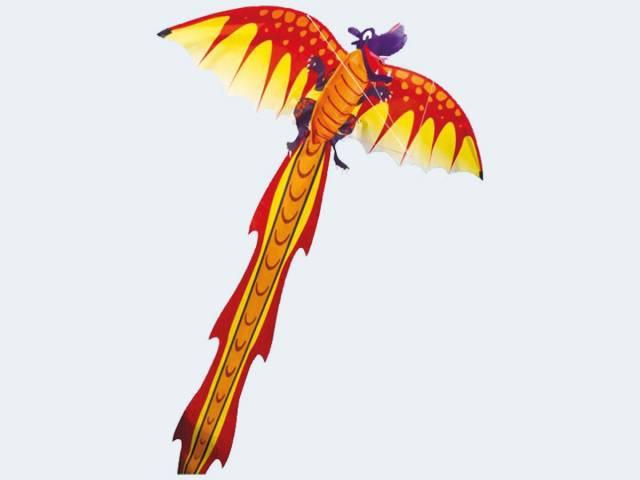 Actual product image Günther Flugspiele Dragon Dragon 3D