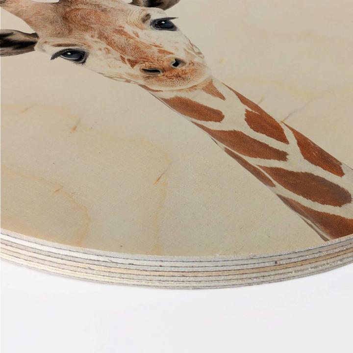 Actual product image Trenddeko Baby giraffe (Ø 70 cm)