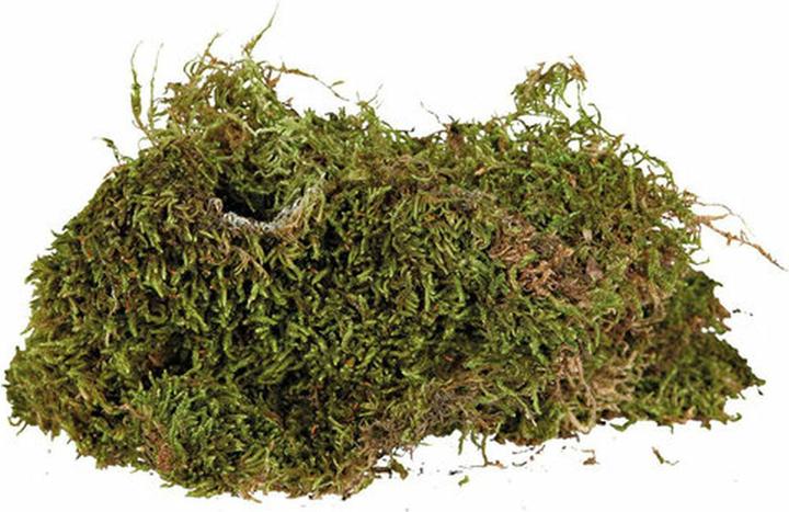 Actual product image Trixie Terrarium moss
