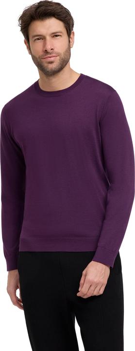 Falke Herren (M)