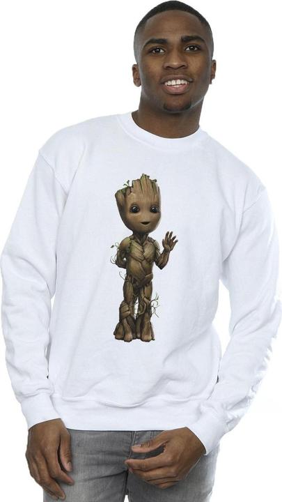 Image du produit - Sweat AM GROOT WAVE POSE - Homme (4XL)