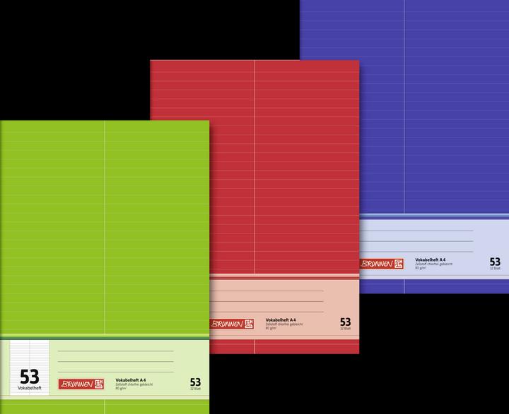 Immagine prodotto Libro di vocaboli a righe verdi, rosse o blu 53 righe DIN A4 senza margine, 32 fogli (A4, Righe, Nessuna rilegatura)