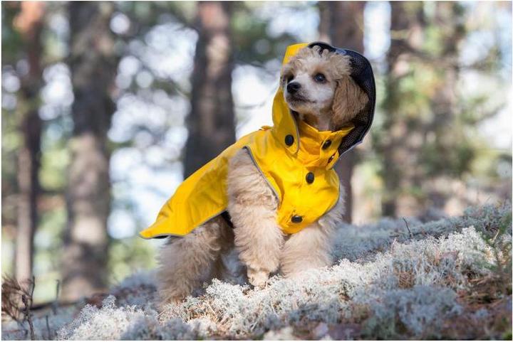 Image du produit Rukka Flux (45, Manteau pour chien)