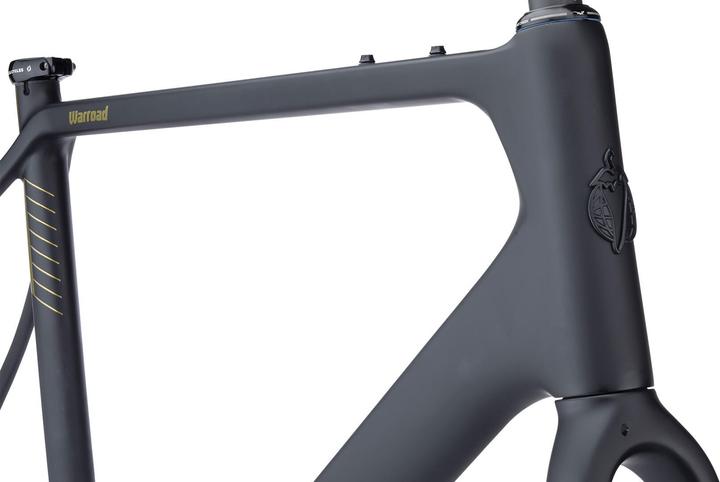 Actual product image Salsa Warroad Carbon