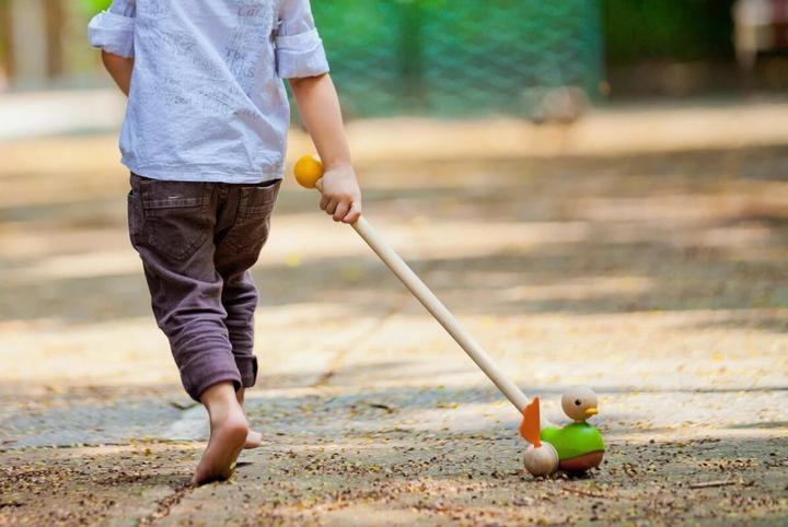 Produktbild Plantoys Ente zum Stossen