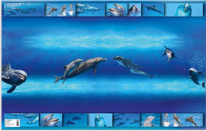 Immagine prodotto HERMA Blocco da tavolo (1 x 35,5 x 55,5 cm)