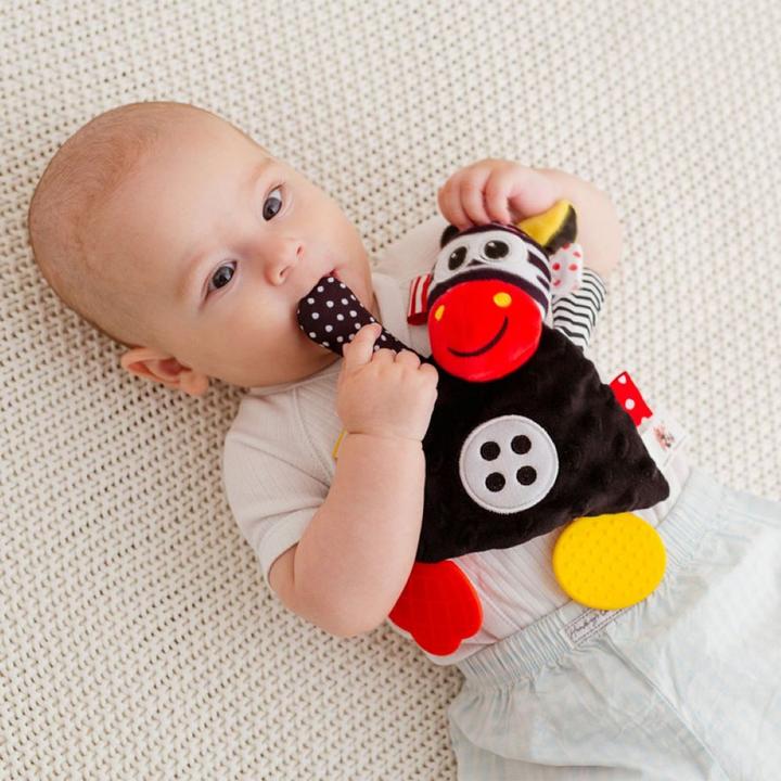 Actual product image Bali Bazoo Baby soft toy, teething ring