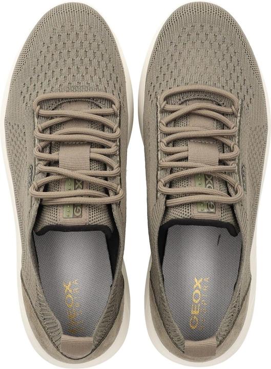 Actual product image Geox Sneaker (39)