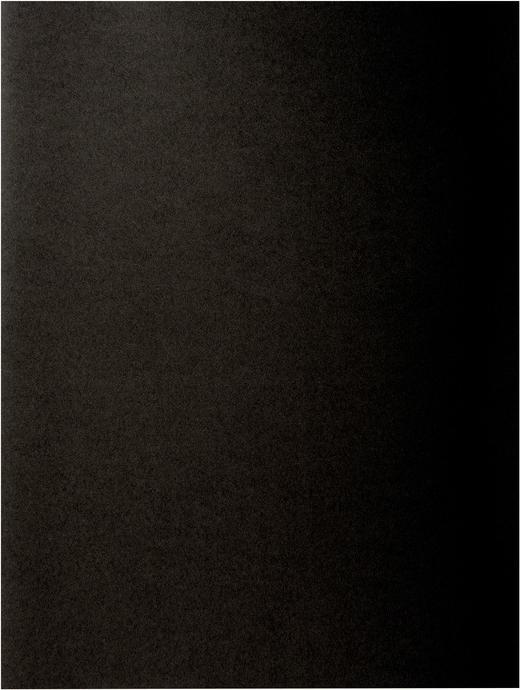 Produktbild Exacompta Aktendeckel ROCK'S, DIN A4, schwarz (A4, 100 x)