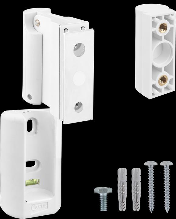 Immagine prodotto Cavus CMBPFW - Bluesound (1 pz., Installazione a parete, Rotante, Inclinabile)