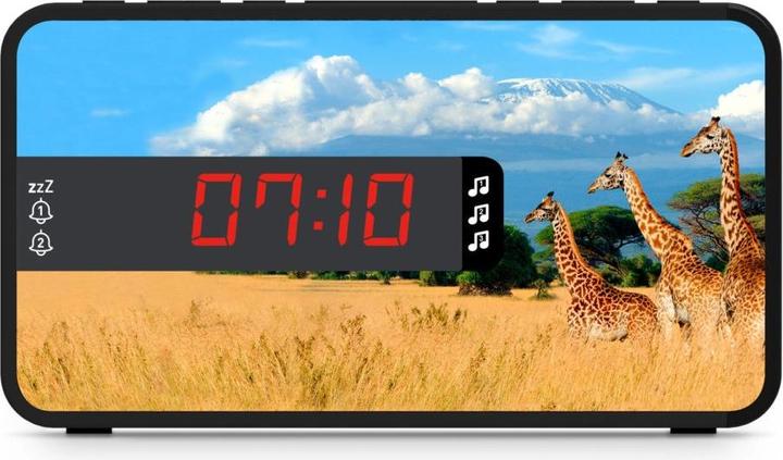 Image du produit Bigben Safari