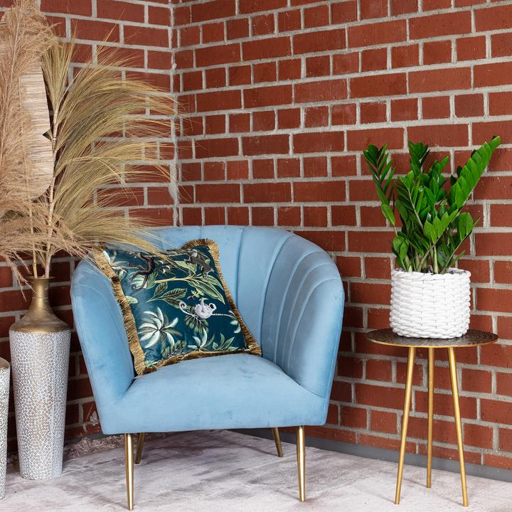 Actual product image Flowerbox Lucky Feather - Zamioculcas zamiifolia (55 cm)