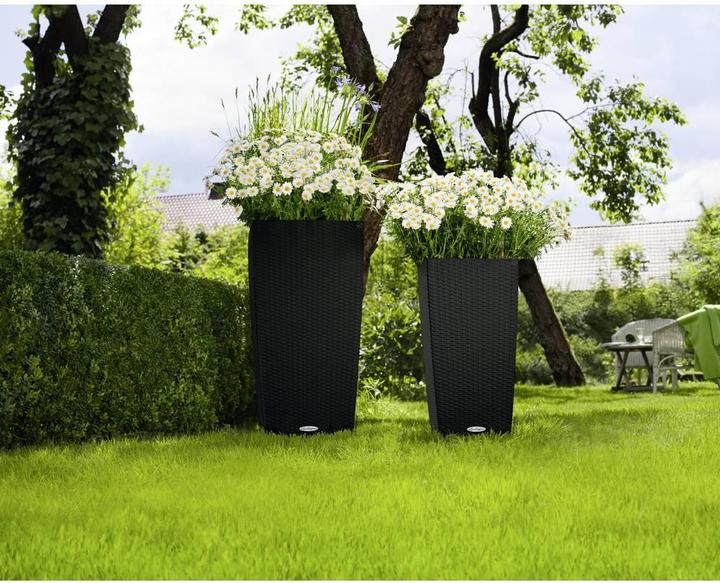 Actual product image Lechuza Cubico Cottage (29.50 cm)