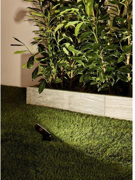 Produktbild Paulmann Outdoor Plug & Shine Sting Starterset (520 lm, IP67)