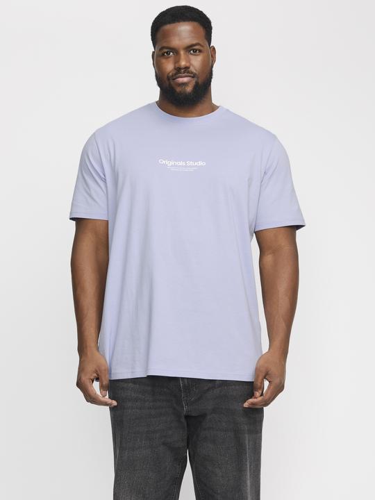 Actual product image Jack & Jones Jorvesterbro Tee Ss Crew Neck Noos Pls (XXL)
