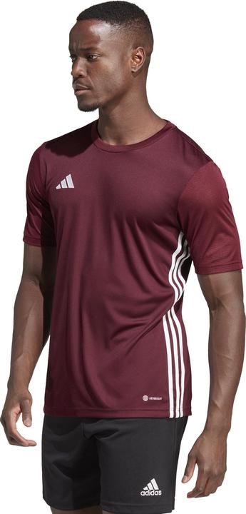 Immagine prodotto adidas Maglia Table 23 Uomo Borgogna IB4928 (L) (L)