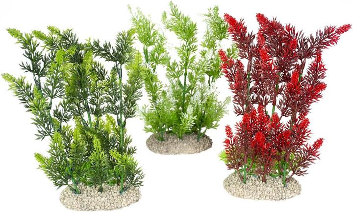 EBI Aqua Della Plant Elodea Densa Set L (altre voci)