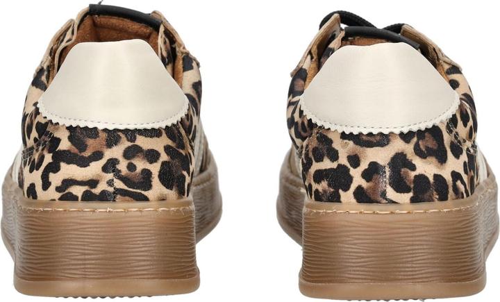 Image du produit Gabor Sneaker (37)