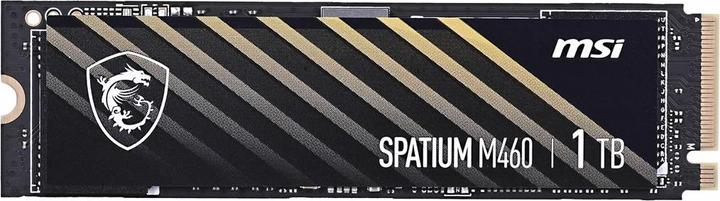 Actual product image MSI Spatium M460 (1000 GB, M.2 2280)