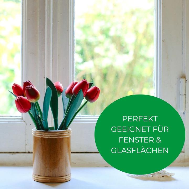 Produktbild Novaliv Sparset Fensterabzieher Profi 25 cm + 35 cm Fensterreiniger Edelstahl mit auswechselbaren Gu (1 Stk.)