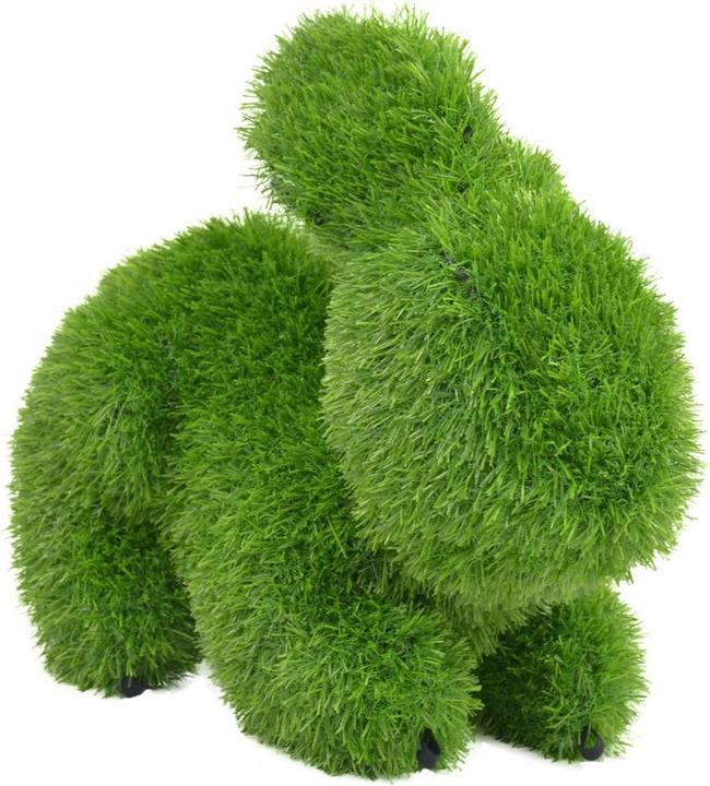 Image du produit Colibri Lapin (1 x)