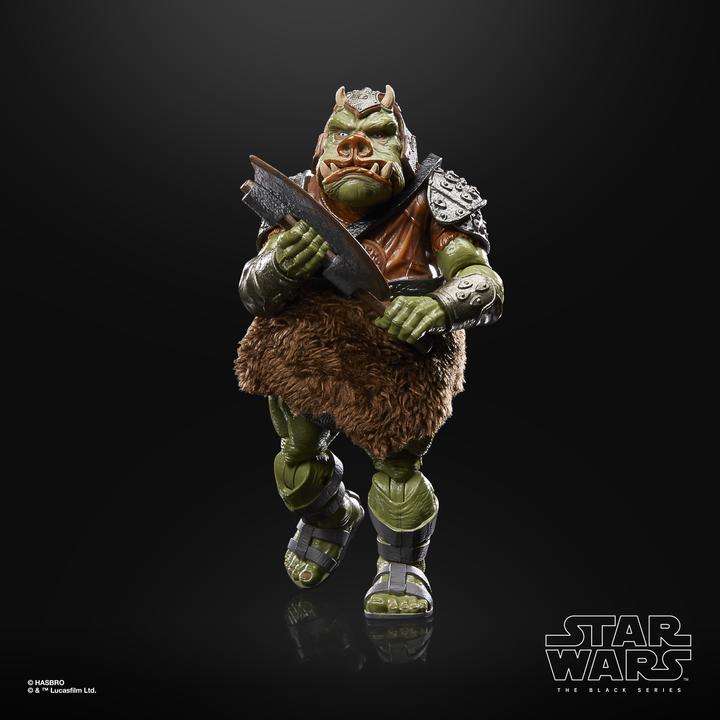 Image du produit Hasbro Star Wars - Gamorrean Guard The Black Series