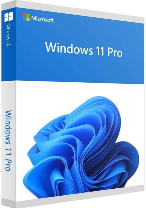 Actual product image Microsoft Windows 11 Pro (ENG) (1 User, unlimited)