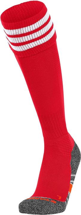 Actual product image Stanno Ring Sock (36, 40)