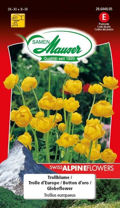 Produktbild Samen Mauser Trollblume (Blumensamen)