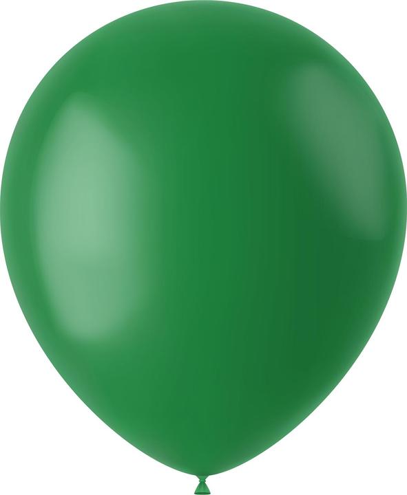 Image du produit Folat Ballons Vert sapin mat 33cm - 10 pièces (10 x)