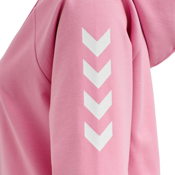 Produktbild hummel Go Cotton Hoodie Woman (S)