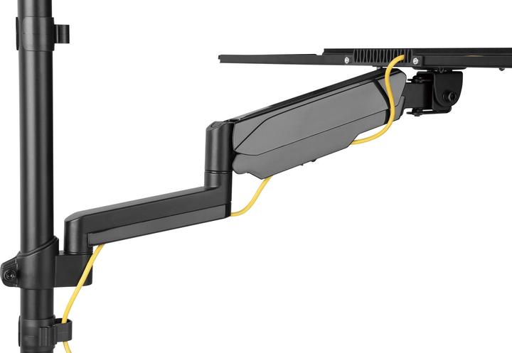 Produktbild Digitus DA-90372 (Wand, 32")
