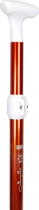 Image du produit Itiwit COMPACT 100 (40 cm)