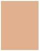Actual product image Wet n Wild ML Incognito All Day Conceal 1111904E (Medium Neutral)