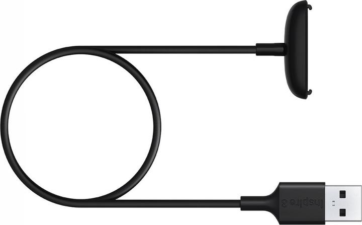 Fitbit Câble de recharge