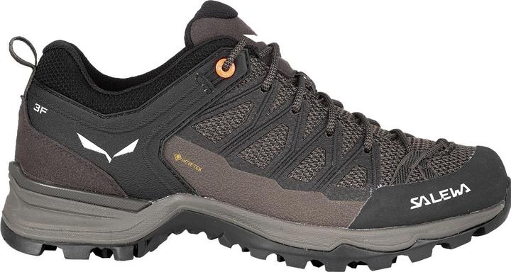 Produktbild Salewa Mountain Trainer Lite GORE-TEX (39)