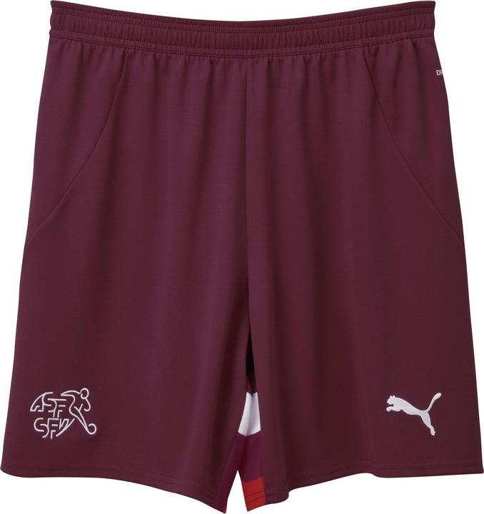 Puma SFV Replica (L)