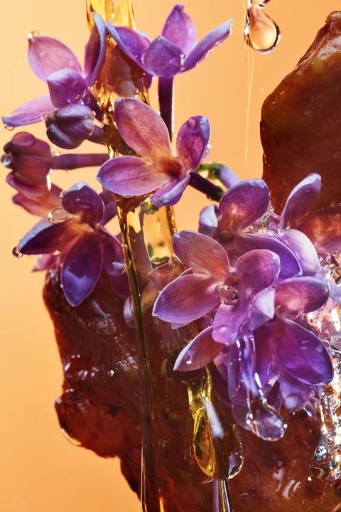 Actual product image Bulgari Allegra Rock'n'Rome (Eau de parfum, 50 ml)