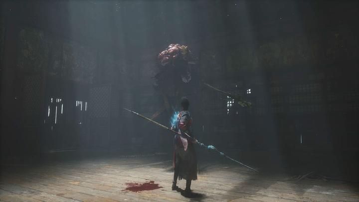 Actual product image 505 Games Wuchang: Fallen Feathers - Day One Edition (PS5, DE)