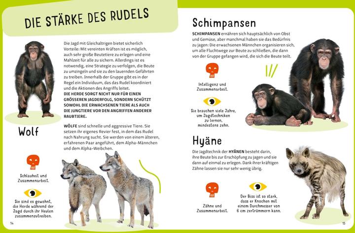 Produktbild National Geographic Die tödlichsten Tiere. Ein aufregendes Count-Down der gefährlichsten Tiere (Top Ten) (Deutsch, Massimo Miato, Cristina Banfi, 2024)