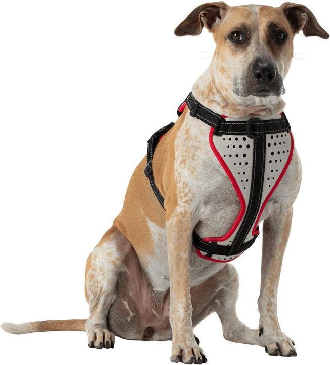 Produktbild Nathan K9 Reflective Dog Harness (M, Hund, Allgemein)