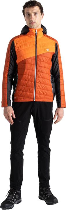 Immagine prodotto Dare2b Touring Giacca Imbottita Uomo (S)